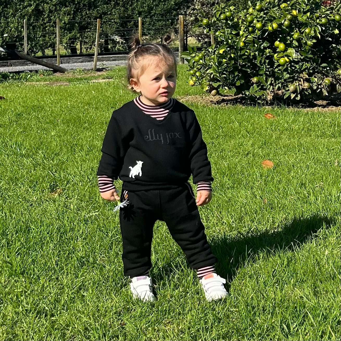 ellyjax - Merino babywear_V Neck Tracksuit